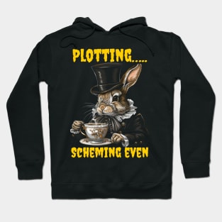 Plotting…..scheming even Hoodie